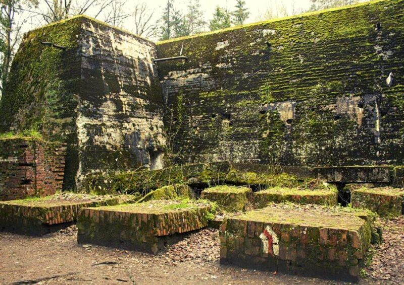 Warsaw: Wolf's Lair & Swieta Lipka Small-Group Tour + Lunch - The Journey: Travel Details and Group Experience