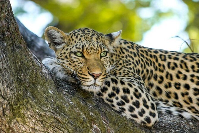 Wasgamuwa National Park Safari - Frequently Asked Questions