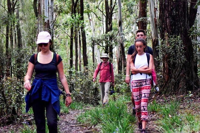 Wasgamuwa National Park Safari from Kandy - The Practicalities: What’s Included and What’s Not