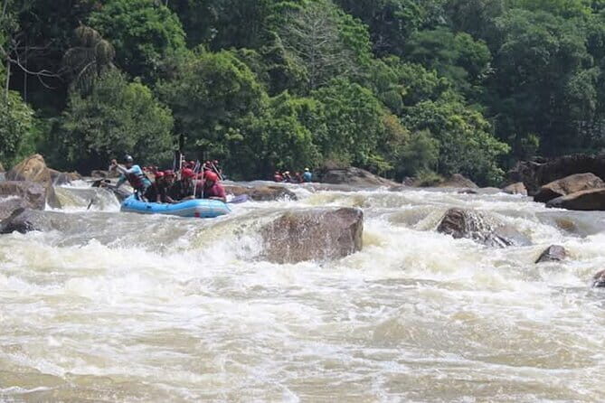 Wasgamuwa National Park Safari from Kandy - FAQs