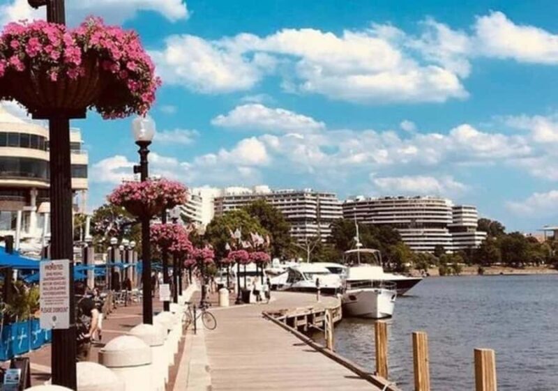 Washington D.C : Best Street Food Tour With A Local Guide - The Guide’s Role