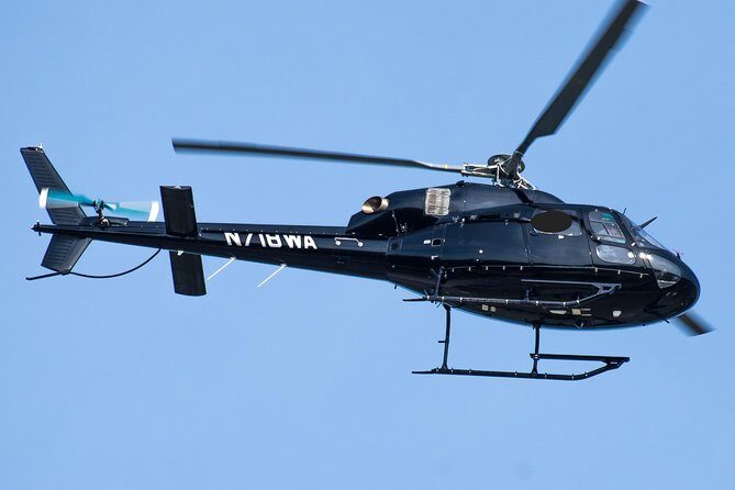 Washington D.C. Day Trip from Manhattan by Helicopter - Frequently Asked Questions