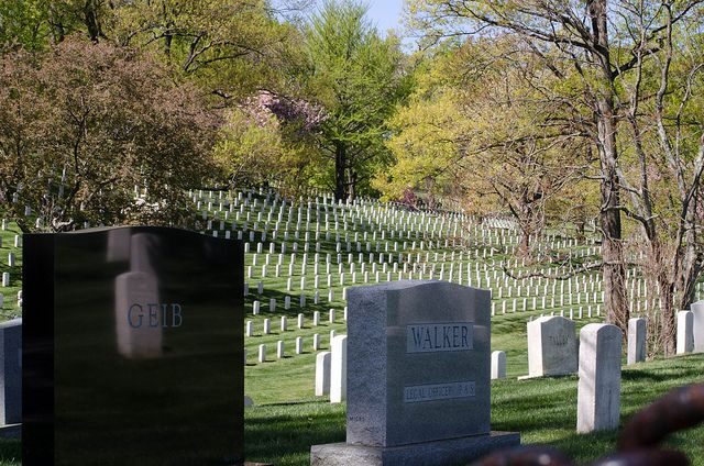 Washington DC: Arlington Nat. Cemetery Ticket & Tram Tour - Final Thoughts: Who Should Consider This Tour?