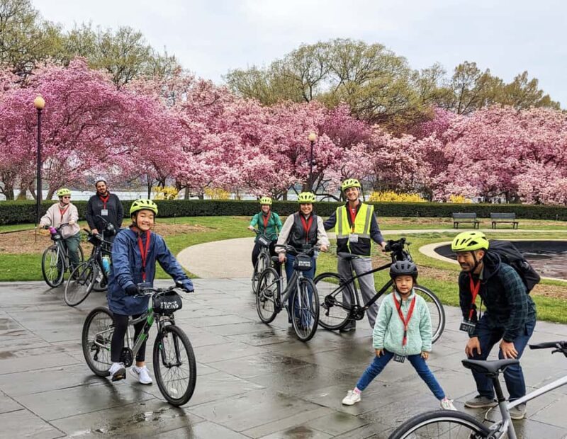 Washington DC: Cherry Blossom Festival Tour by Bike - Key Points
