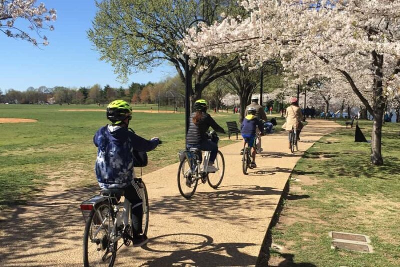 Washington DC: Cherry Blossom Festival Tour by Bike - A Closer Look at the Tour Experience