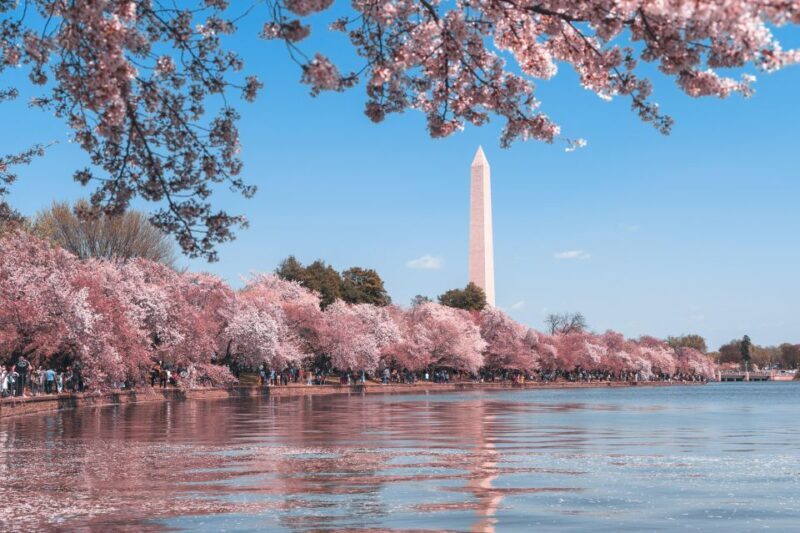 Washington DC: City Sightseeing Private Limousine Tour - Analyzing the Value