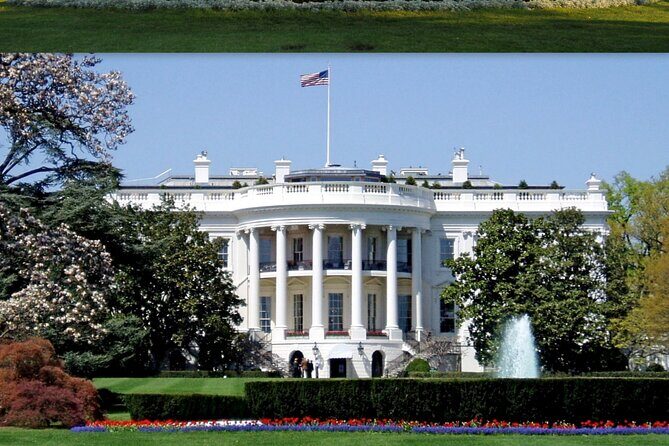 Washington DC Diplomatic and Monuments Guided Tour - Exploring the Tour: A Deep Dive