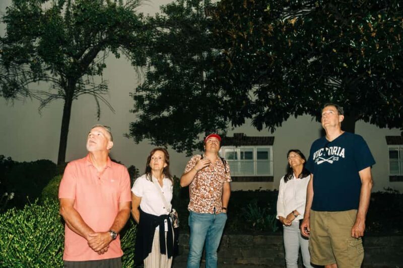 Washington DC: Georgetown Spies and Ghosts Walking Tour - The Sum Up: Who Should Consider This Tour?