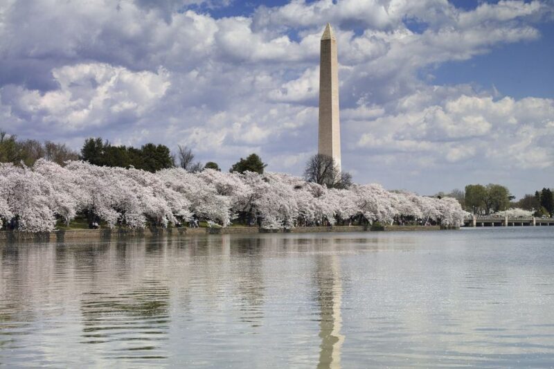 Washington DC: Half-Day Bus Tour with Optional Museum Ticket - Who Should Consider This Tour?