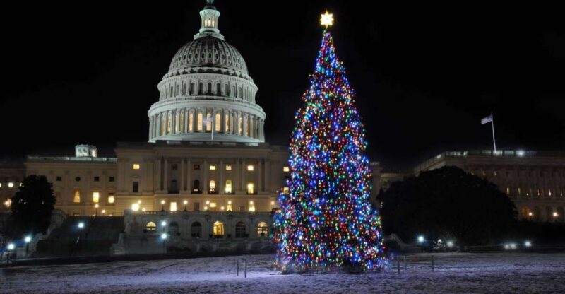 Washington, DC: Holiday Lights Nighttime Bus Tour - Analyzing the Value