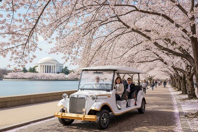 Washington DC Monument's Cherry Blossom Guided E-Cart Tour - Reviewer Insights from Others