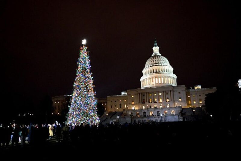 Washington, DC: National Mall and Memorials Moonlight Tour - Washington, DC: National Mall and Memorials Moonlight Tour – A Detailed Review