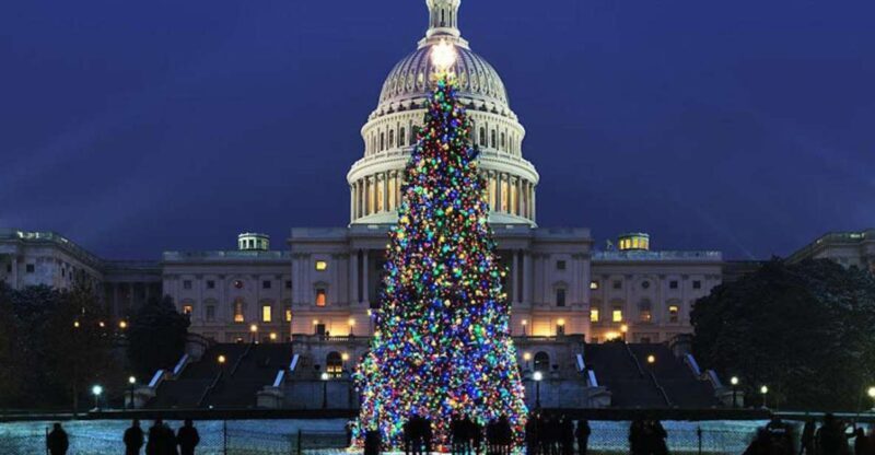 Washington, DC: National Mall and Memorials Moonlight Tour - The Sum Up