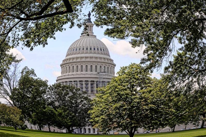 Washington DC: Nighttime Express Sightseeing Tour - Insights From Reviews