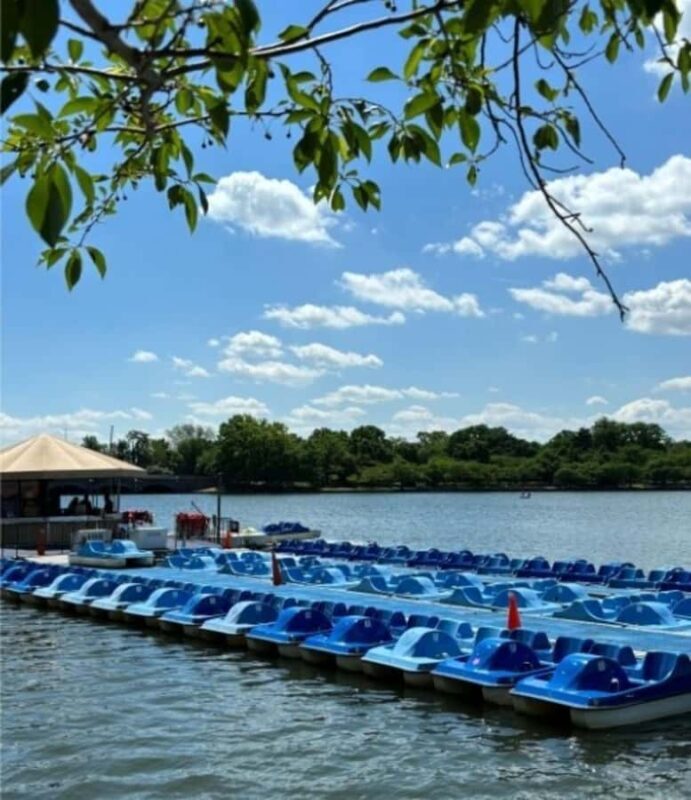 Washington DC: Tidal Basin Pedal Boat Rental - FAQ