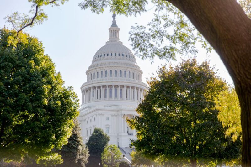 Washington DC: Washington Monument Entry & DC Highlights - What to Expect from the Tour