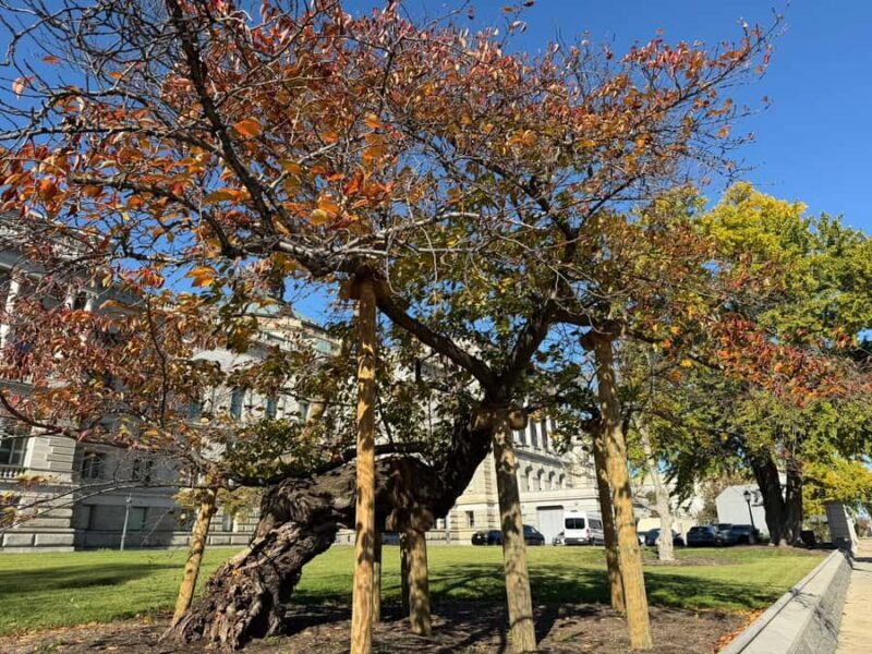 Washington, DC: Women's Advocacy Walking Tour - Who Will Love This Tour?