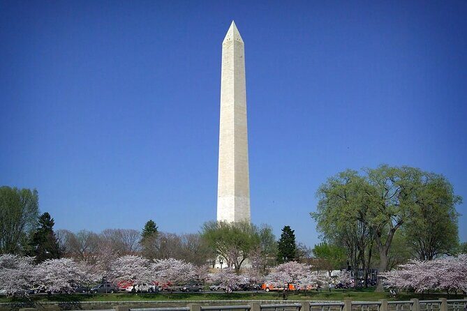 Washington Monument Admission with Morning City Narrated Bus Tour - Overview of the Tour Experience