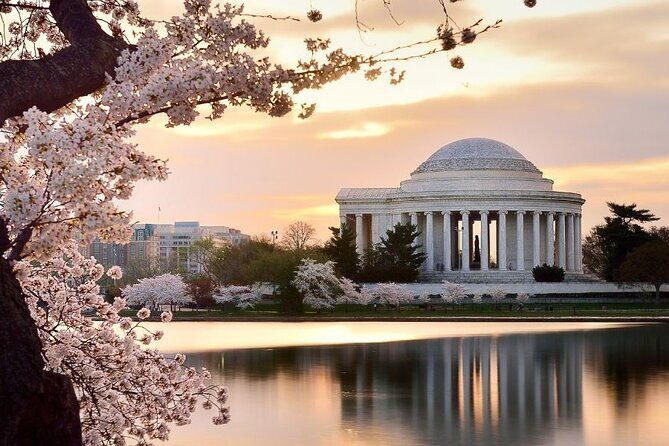 Washington : Private Custom Walking Tour With A Guide (Private) - A Deep Dive into the Private Custom Walking Tour