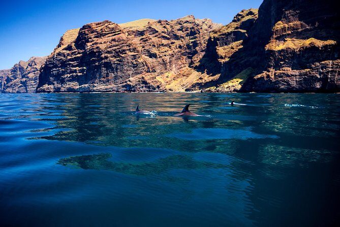 Watching and Listening Whales visiting Los Gigantes&Masca. Food&drinks included - What Sets This Tour Apart?