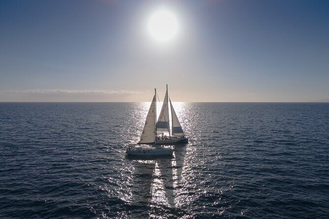 Watching and Listening Whales visiting Los Gigantes&Masca. Food&drinks included - FAQ