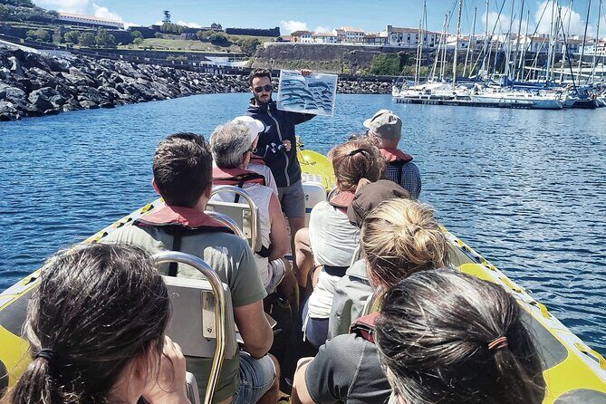 Watching whales and dolphins on Terceira Island - Booking and Practical Details