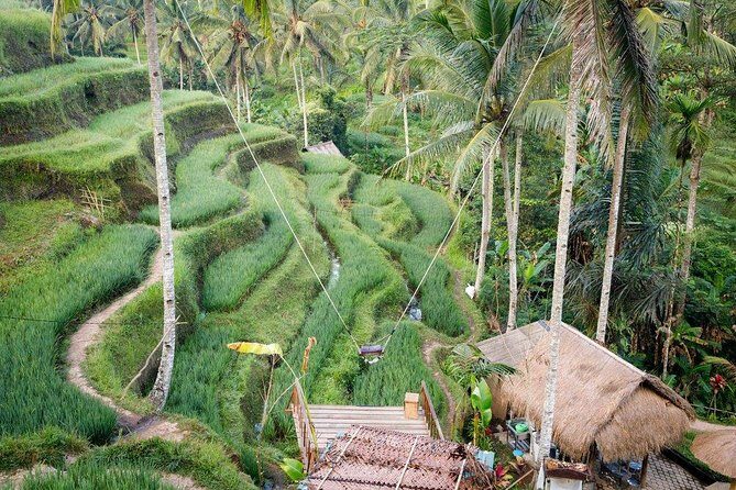 Water Rafting adventure with Jungle Swing & rice terraces - Final Thoughts