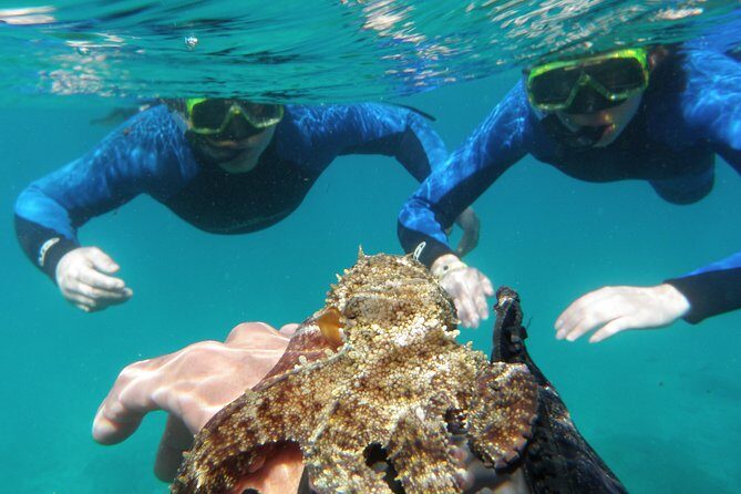 Water Taxi Lobos Island - How Does It Value For Money?