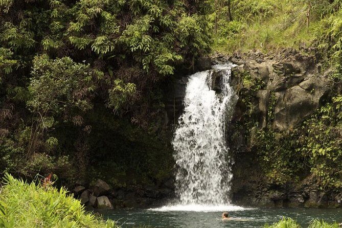 Waterfall and Rainforest Adventure - An In-Depth Look at the Waterfall and Rainforest Adventure
