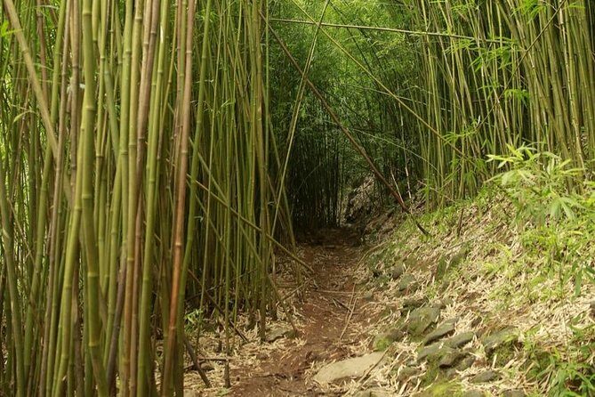 Waterfall and Rainforest Adventure - What’s Included and What’s Not