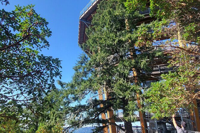 Waterfall, Skywalk, Lagoon Picnic, Castle and Whales in Victoria - The Sum Up: Is It Worth It?