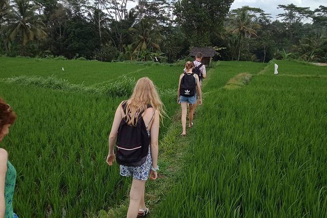 Waterfall Tour And Sasak Traditional Tour - FAQ