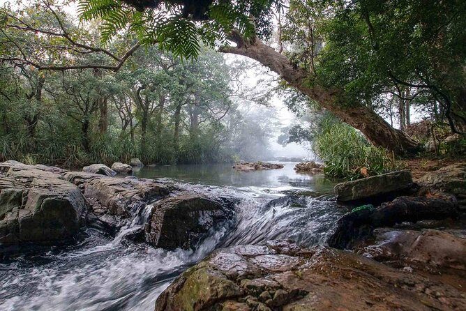Waterfall Trekking in Knuckles Mountain Range - Why the Guides Make a Difference