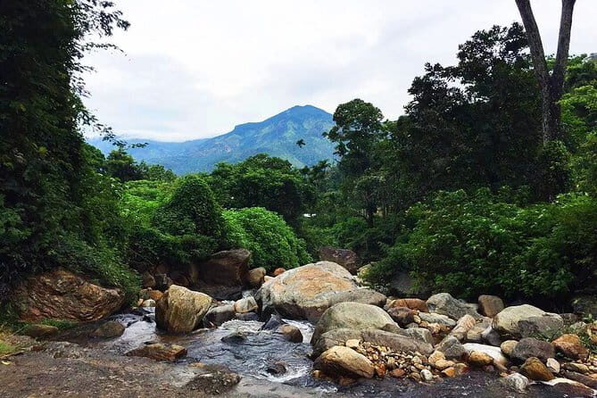 Waterfall Walk from Ella - Waterfall Walk from Ella: An Adventurous Nature Escape