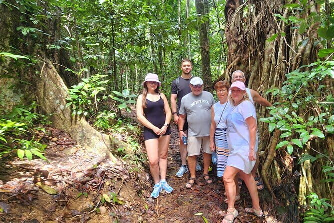 Waterfalls and Bushwalk Eco Adventure - Exploring the Itinerary in Detail