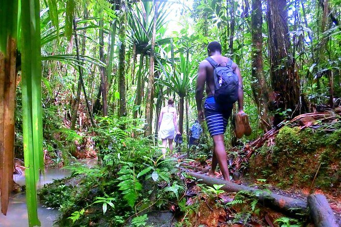 Waterfalls and Nature Tour - Wildlife & Birdwatching