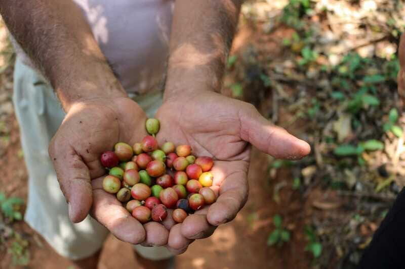 Waterfalls, Coffee and Adventure Tour, Huatulco - Who Will Love This Tour?
