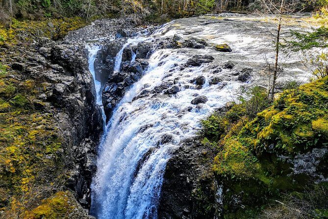 Waterfalls, Coombs and Cathedral Grove Rainforest Tour - Exploring Vancouver Island’s Natural Treasures