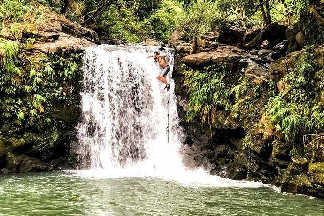 Waterfalls, Hike & Rivers Tour from Kahului - An In-Depth Look at the Tour Experience