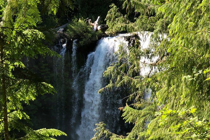 Waterfalls & the McKenzie River in a Tesla - The Waterfalls: Sahalie and Koosah