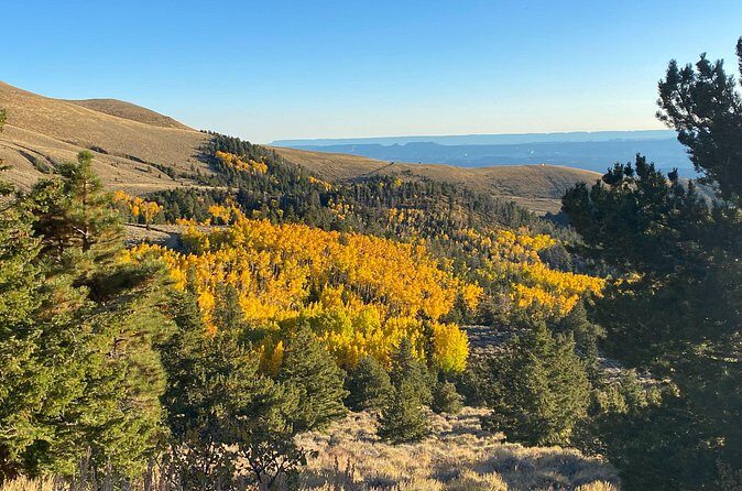 Waterpocket Fold and Henry Mountains Bison Offroad Safari - Physical Demands and Suitability