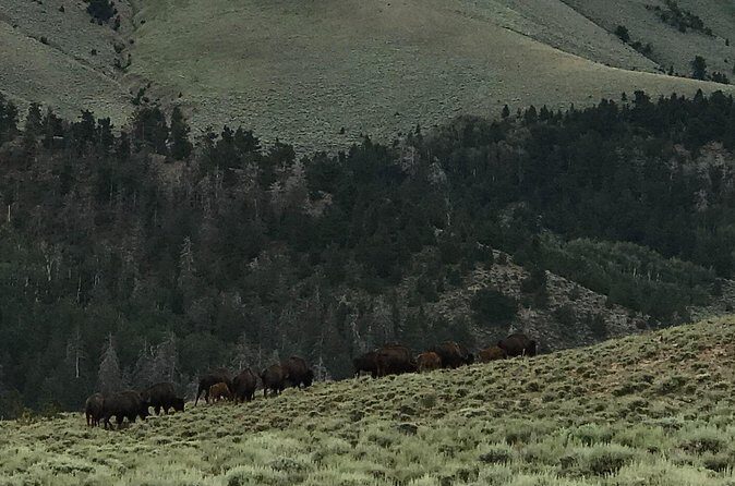 Waterpocket Fold and Henry Mountains Bison Offroad Safari - FAQs