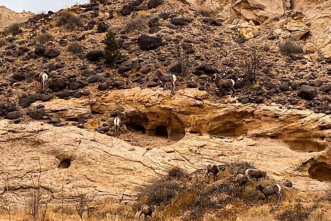 Waterpocket Fold Offroad Tour to Strike Valley Overlook - FAQs