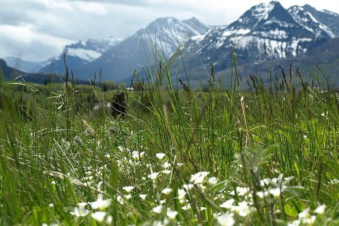 Waterton Lakes National Park Off The Beaten Path - An In-Depth Look at the Itinerary