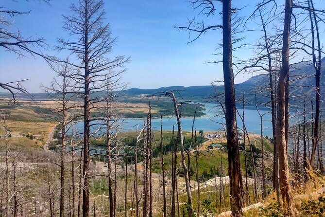 Waterton National Park Adventure Day tour from Calgary - A Deep Dive into the Tour Experience