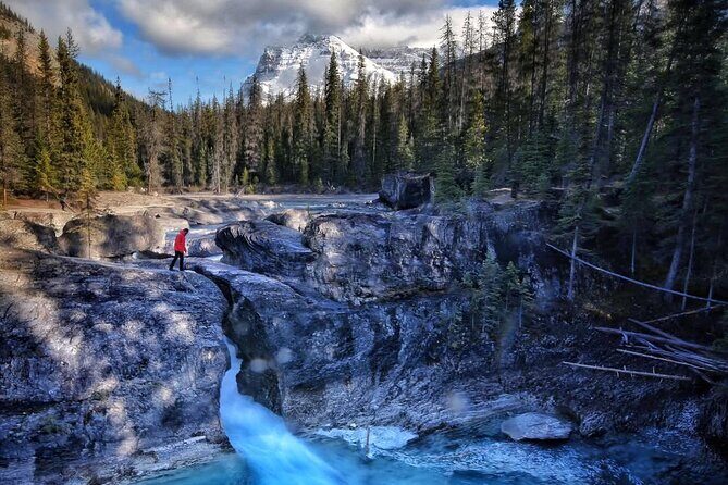 Waterton's Wild Beauty: A Hidden Gem in the Rockies - The Sum Up: Who Should Consider This Tour?
