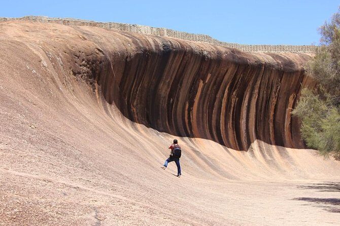Wave Rock Half Day Air & Ground Tour - Key Points