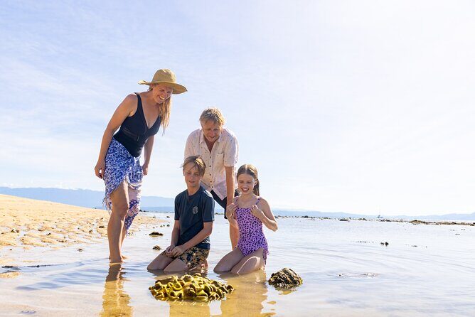 Wavedancer Low Isles Great Barrier Reef Sailing Cruise - Wavedancer Low Isles Great Barrier Reef Sailing Cruise: A Detailed Review