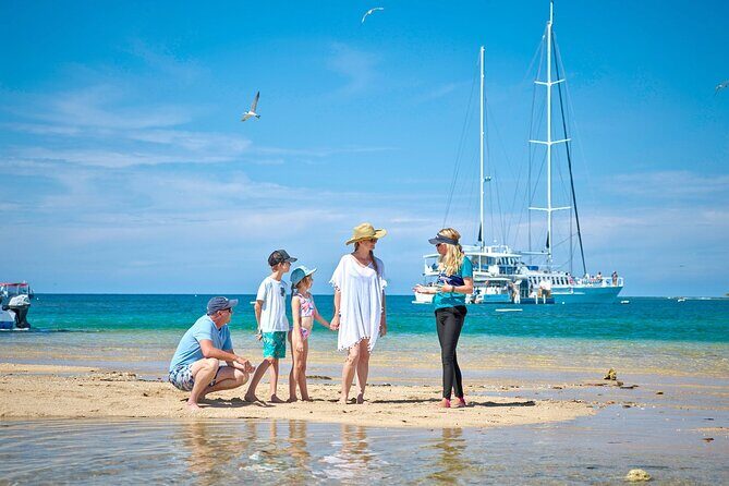 Wavedancer Low Isles Great Barrier Reef Sailing Cruise from Cairns - Pricing and Value