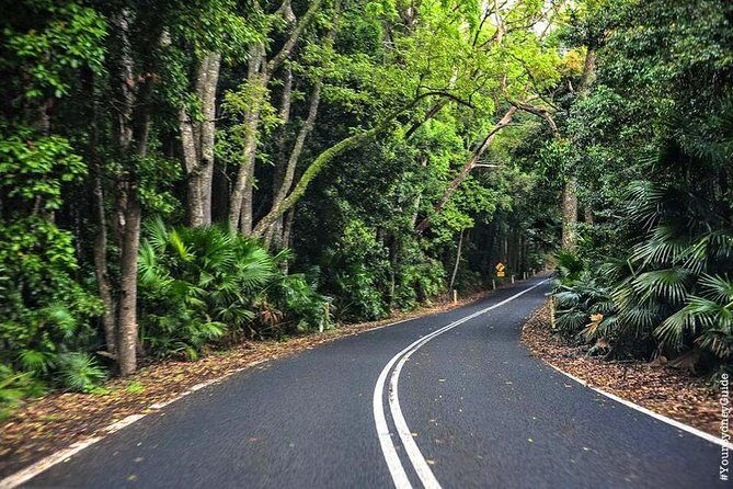 Waves Waterfalls and Wineries Full-Day Southern Highlands Private Tour - Starting the Journey: From Sydney to the Southern Highlands